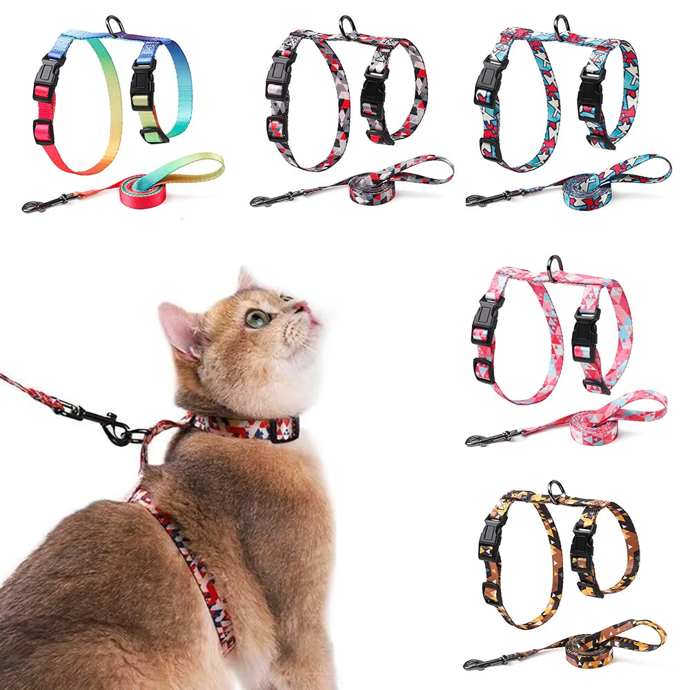 Chat portant un harnais et une laisse colorés, avec divers autres harnais et laisses affichés sur un fond blanc.

