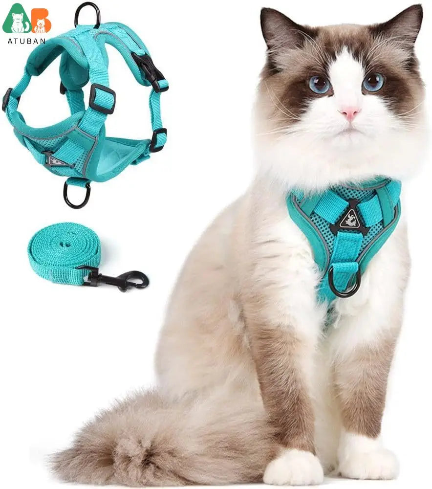 Chat portant un harnais bleu sarcelle avec une laisse assortie, marqué 'ATUBAN'.

