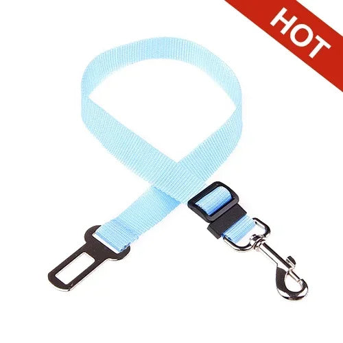 Laisse bleu clair avec clip noir et attache de ceinture de sécurité sur fond blanc.

