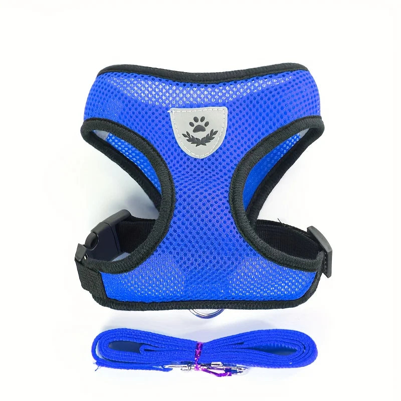 Harnais bleu pour chien avec sangles noires et laisse assortie sur fond blanc

