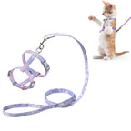 Harnais et laisse pour chat posés, avec un chat porté sur fond blanc

