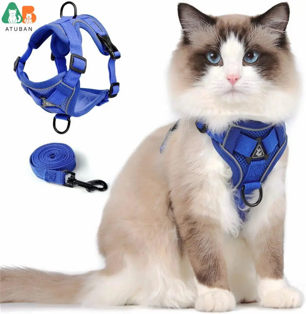 Chat portant un harnais bleu avec une laisse, marqué « ATUBAN ».

