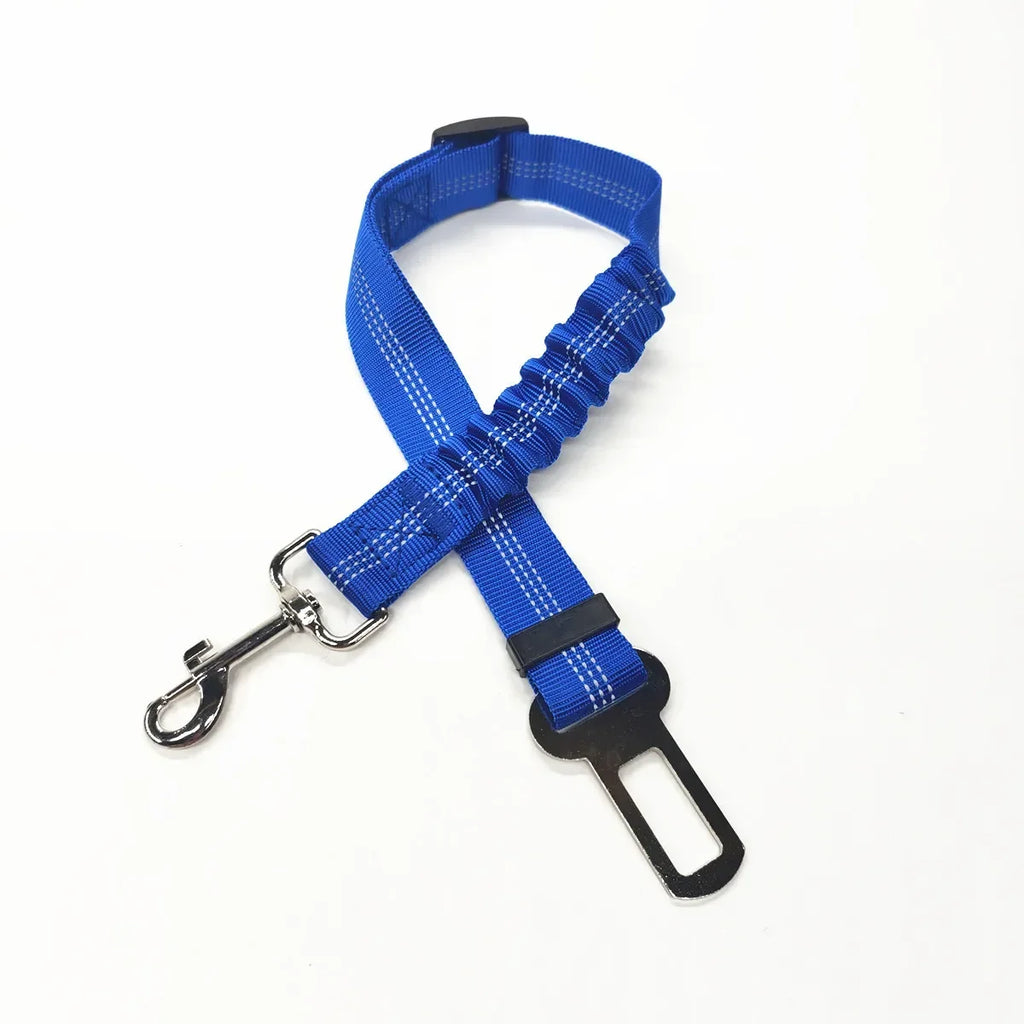 Ceinture de sécurité auto bleue avec clip sur fond blanc

