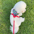 Chien blanc portant un harnais coloré et une laisse rouge sur l’herbe


