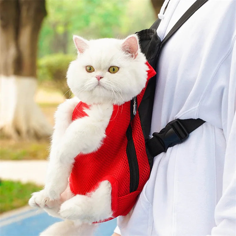 Chat blanc dans un sac à dos rouge avec un fond extérieur flou
