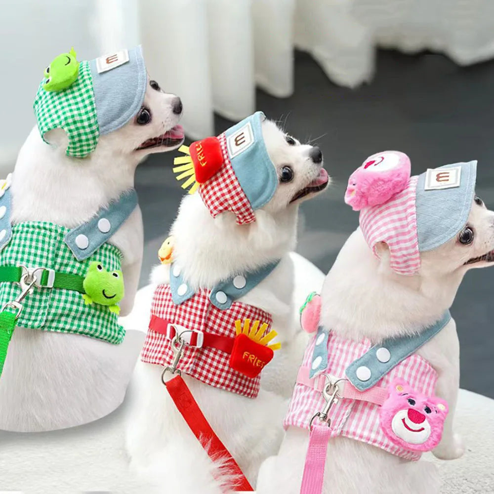 Trois petits chiens portant des tenues colorées avec des chapeaux et des harnais sur un fond neutre

