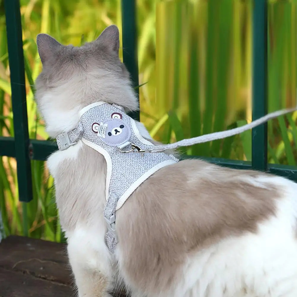 Chat portant un harnais scintillant avec un design d’ours à l’extérieur

