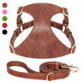 Harnais et laisse en cuir marron sur fond blanc avec des échantillons de couleur.

