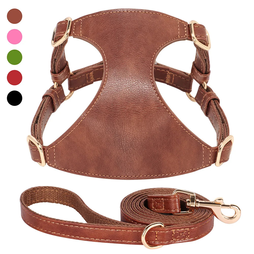 Harnais et laisse en cuir marron sur fond blanc avec des échantillons de couleur.

