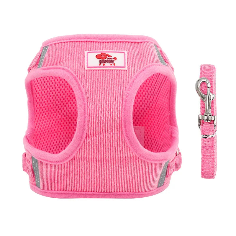 Harnais et laisse roses pour chien sur fond blanc
