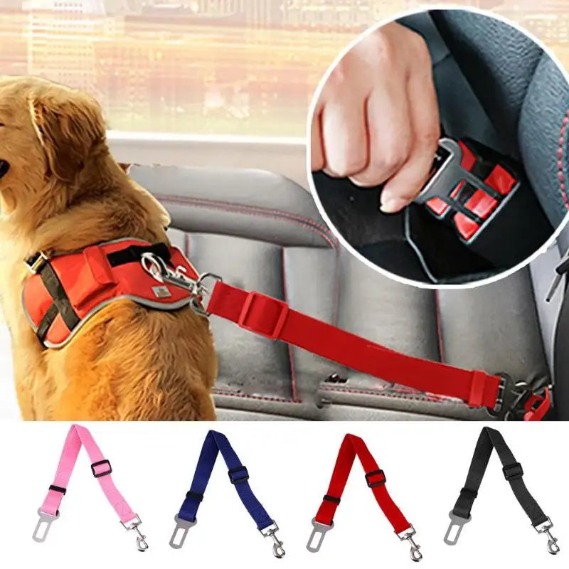 Harnais de sécurité pour chien avec clip de ceinture de sécurité, harnais portant chien, gros plan du clip et options de couleur.

