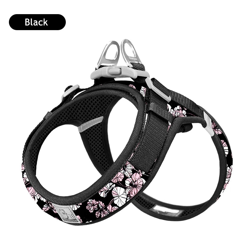Harnais noir pour chien avec motif floral sur fond blanc
