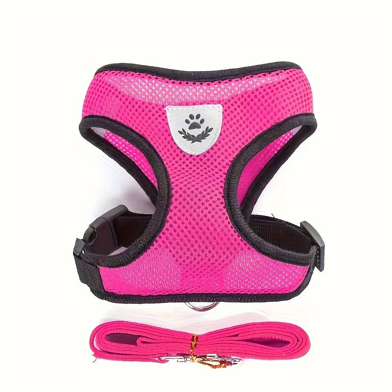 Harnais rose pour chien avec sangles noires et laisse assortie sur fond blanc

