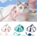 Chat portant un harnais et une laisse roses, avec trois jouets supplémentaires exposés ci-dessous.

