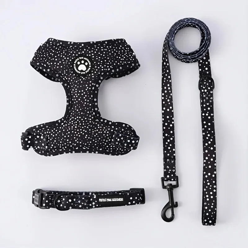 Harnais, laisse et collier noirs pour chien avec un motif d’empreintes blanches sur fond blanc
