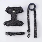 Harnais, laisse et collier noirs pour chien avec un motif d’empreintes blanches sur fond blanc
