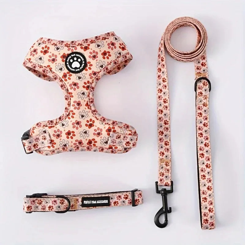 Harnais, laisse et collier pour chat avec un motif floral sur fond blanc

