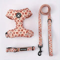 Harnais, laisse et collier pour chat avec un motif floral sur fond blanc

