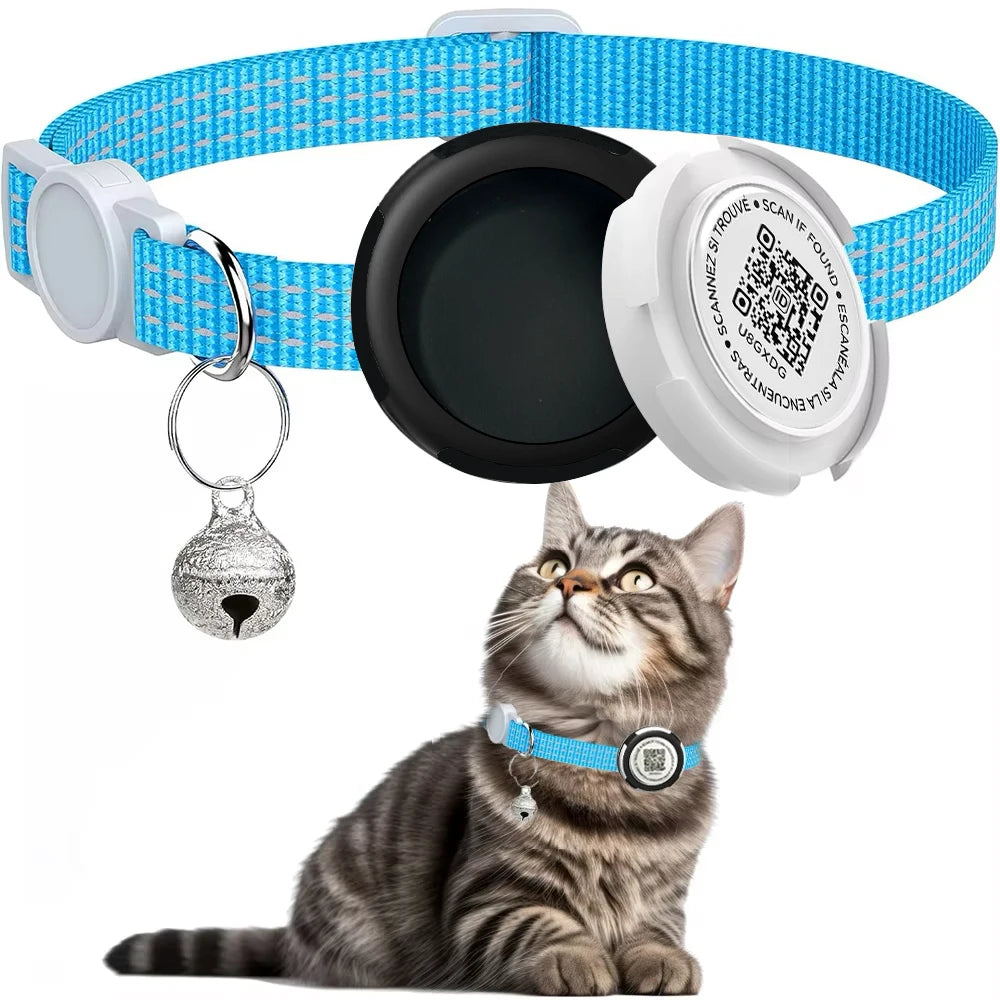 Chat portant un col bleu avec un traceur et une clochette, sur fond blanc

