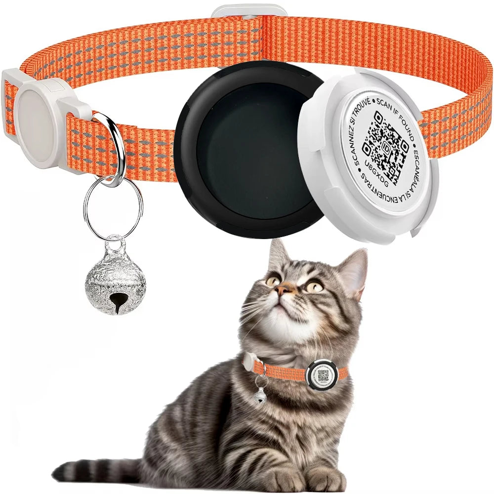 Chat portant un collier orange avec un dispositif de localisation et une clochette, sur fond blanc

