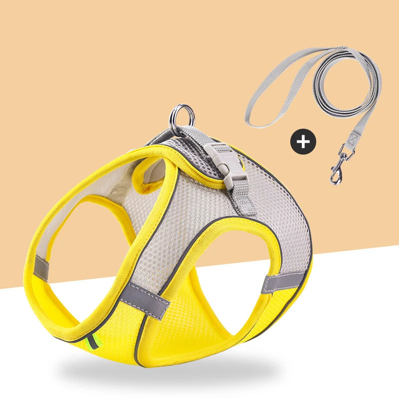 Harnais jaune et gris avec laisse sur fond beige

