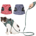 Chat portant un harnais et une laisse à motifs avec deux harnais supplémentaires exposés.

