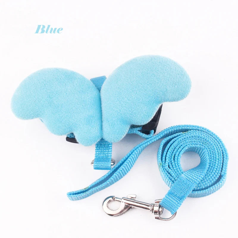 Muselière et laisse bleues pour chien sur fond blanc

