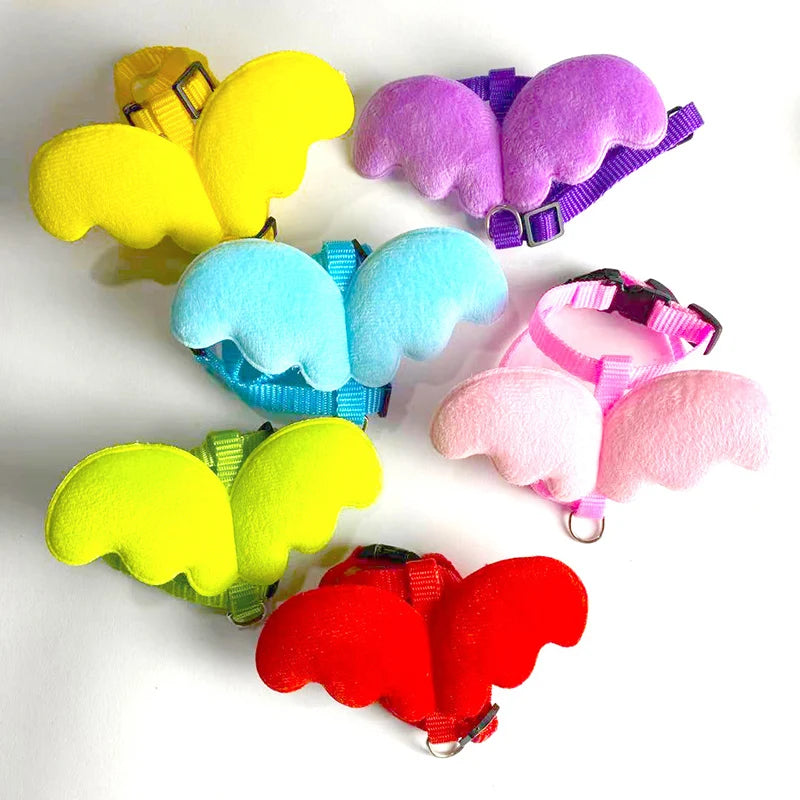 Harnais colorés pour chiens disposés en motif circulaire sur fond blanc

