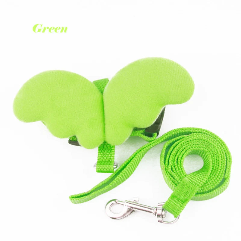 Laisse verte pour chien avec poignée en mousse sur fond blanc

