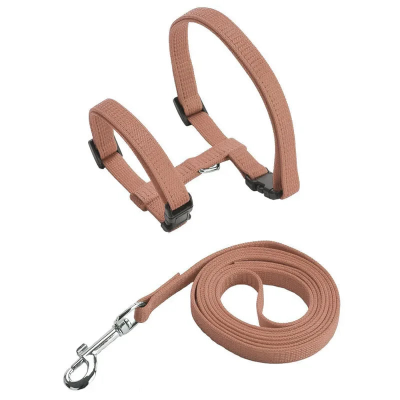 Harnais et laisse marron pour chien sur fond blanc


