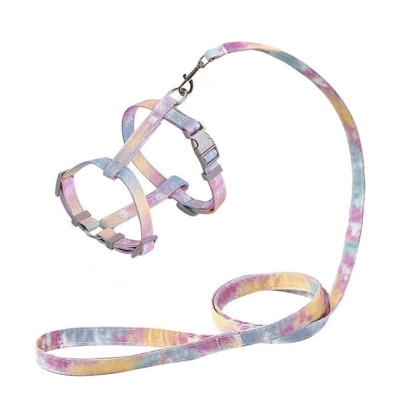 Harnais et laisse pastel tie-dye pour chiens sur fond blanc

