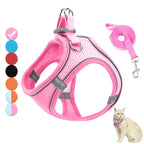 Harnais et laisse roses pour chats avec un chat portant le harnais sur fond blanc.


