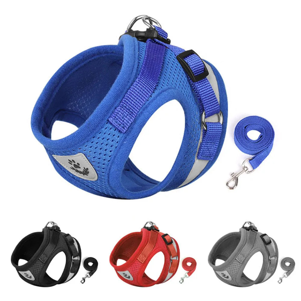 Harnais et laisse bleus pour chien avec harnais supplémentaires en noir, rouge et gris sur fond blanc.

