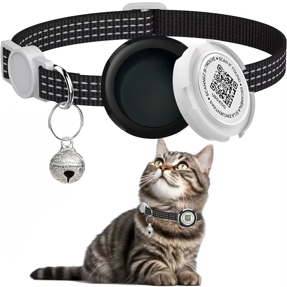 Chat portant un collier de suivi noir et blanc avec une clochette sur fond blanc

