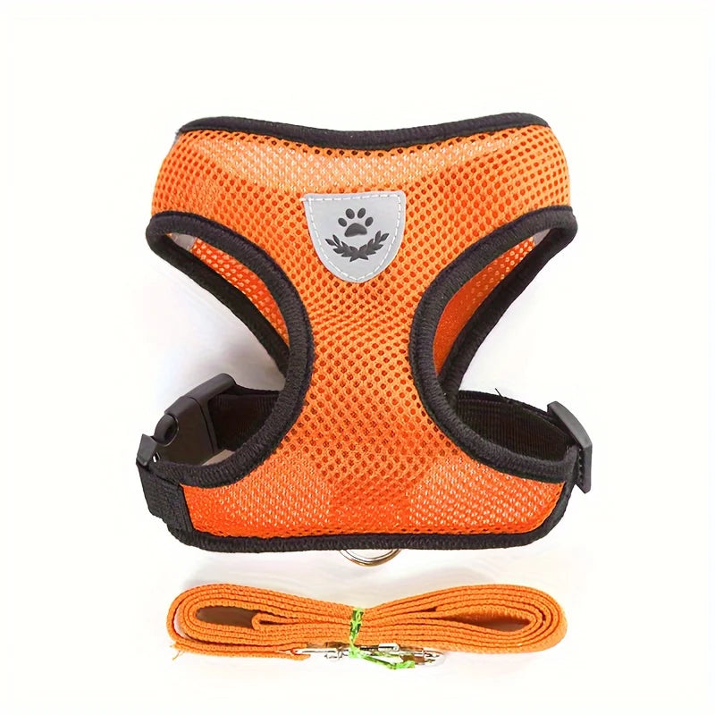 Harnais orange avec sangles noires et laisse assortie sur fond blanc

