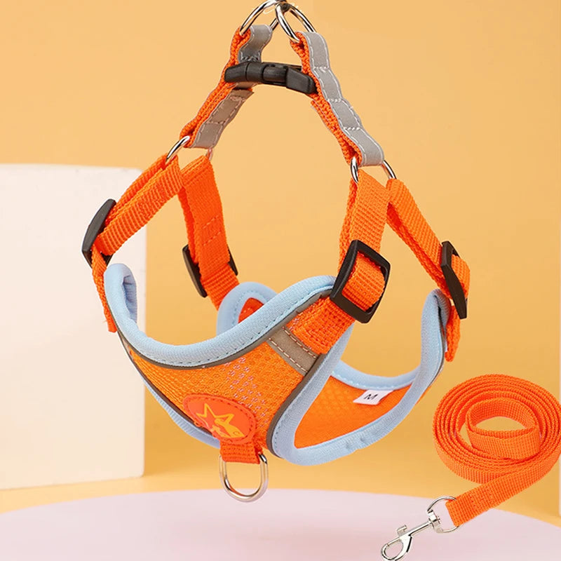 Harnais et laisse orange pour chien sur un fond en dégradé
