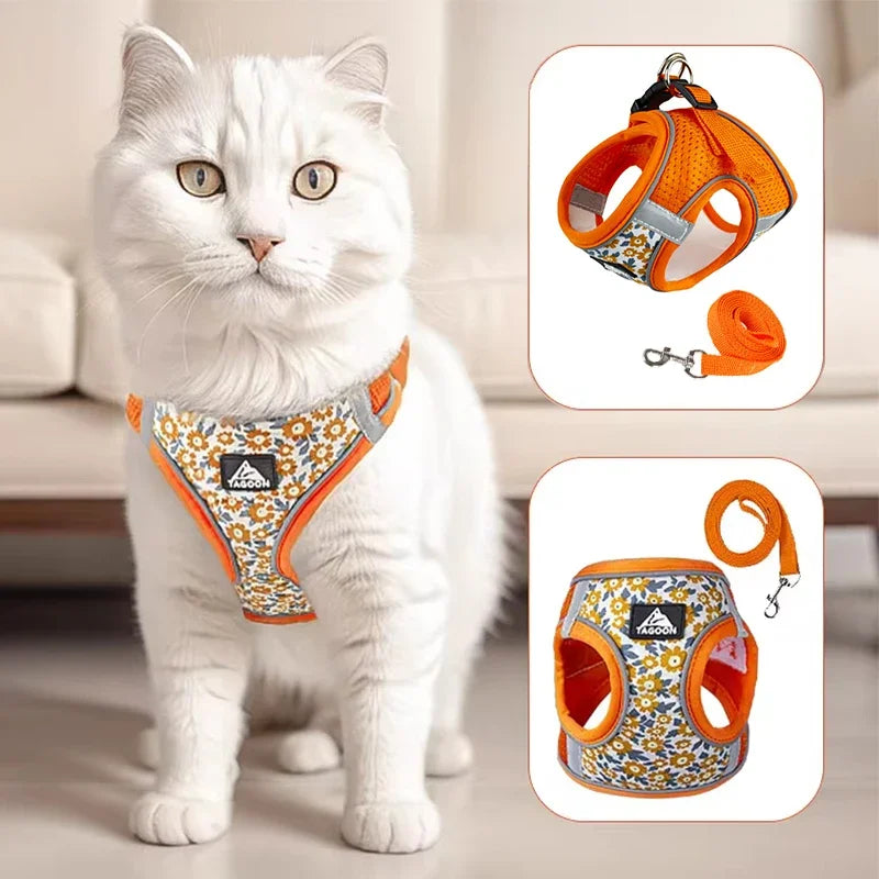 Chat blanc portant un harnais à motifs floraux avec des images supplémentaires du harnais et de la laisse.
