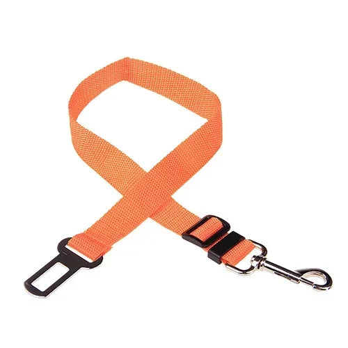 Laisse orange pour chien avec pince noire et mousqueton sur fond blanc

