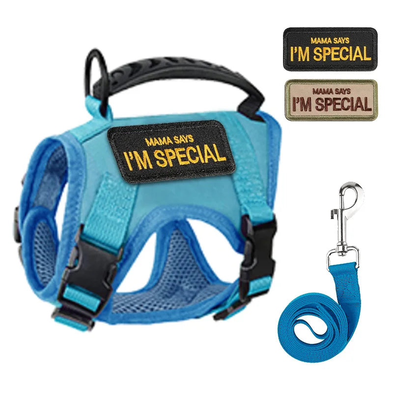 Harnais bleu pour chien avec des écussons « Mama Says I’m Special » et une laisse bleue sur fond blanc
