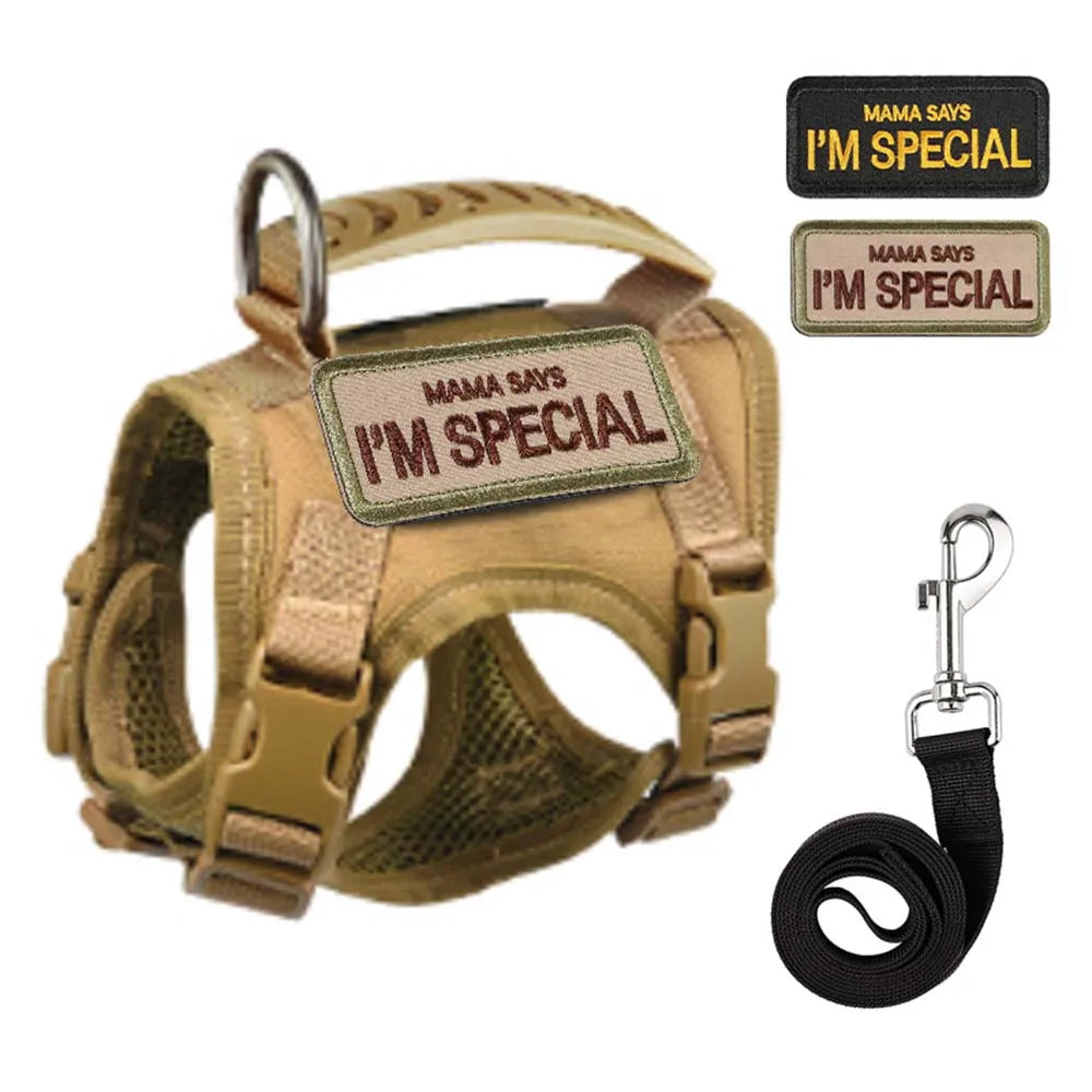 Harnais beige pour chien avec des écussons « Mama Says I’m Special » et une laisse noire sur fond blanc
