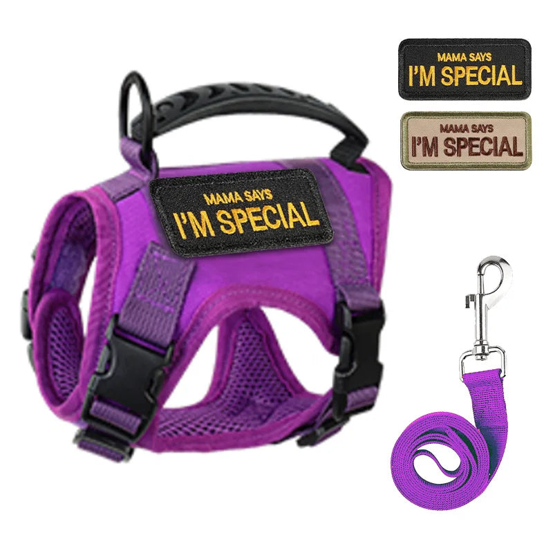 Harnais violet pour chien avec des écussons « Mama Says I’m Special » et laisse assortie sur fond blanc
