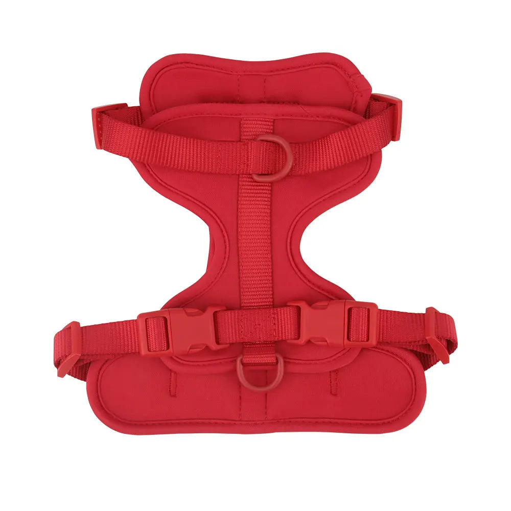 Harnais rouge sur fond blanc

