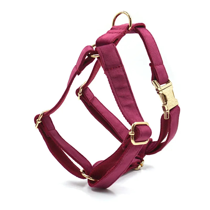 Harnais magenta avec quincaillerie dorée sur fond blanc

