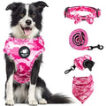 Chien portant un harnais de camouflage rose avec collier, laisse et bandana assortis sur fond blanc

