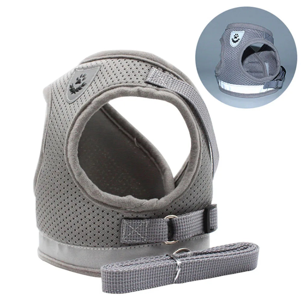 Harnais gris pour chien avec un encastrement rapproché sur fond blanc

