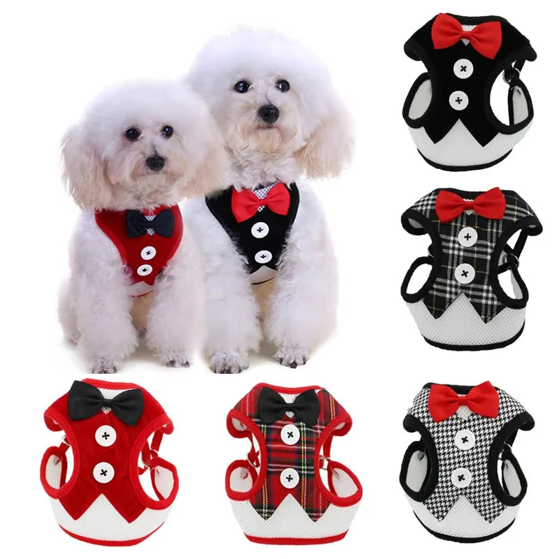 Ensemble de harnais pour chat avec des motifs rouges et noirs sur fond blanc

