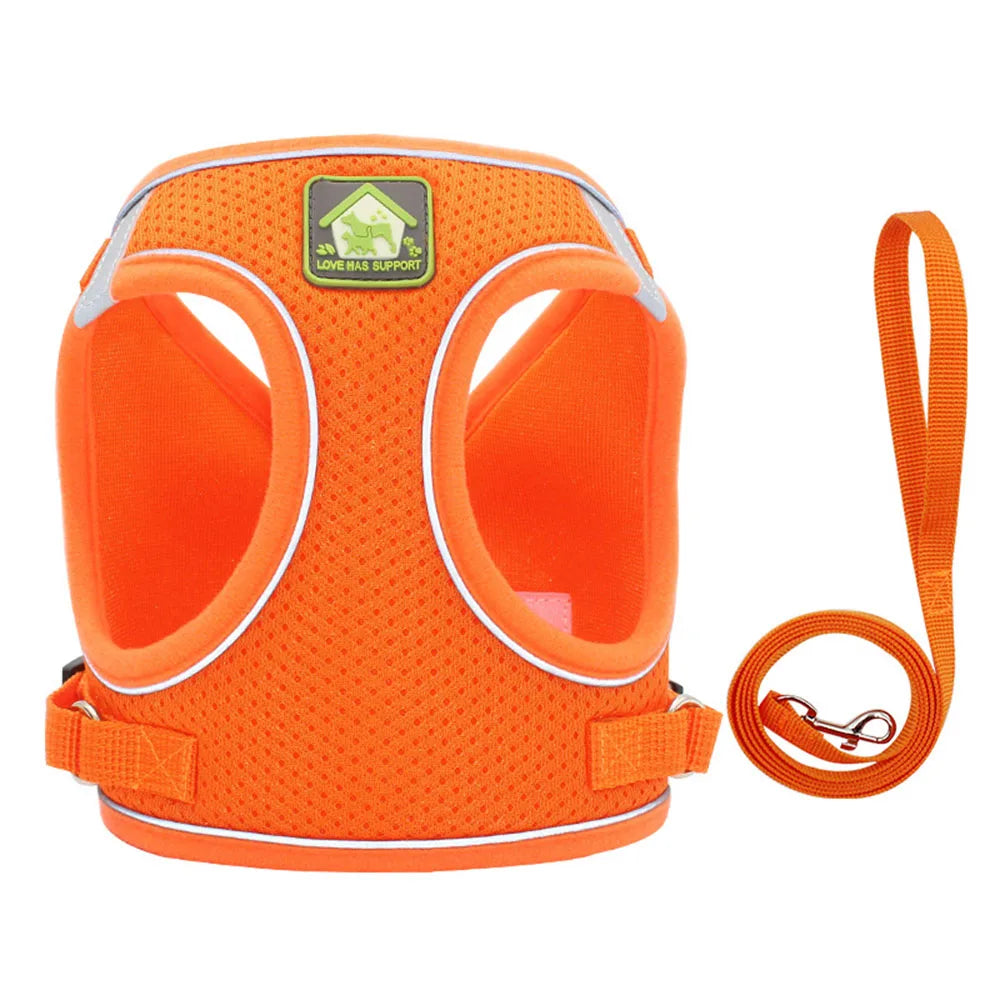 Harnais et laisse orange pour chien avec un logo de marque visible sur fond blanc

