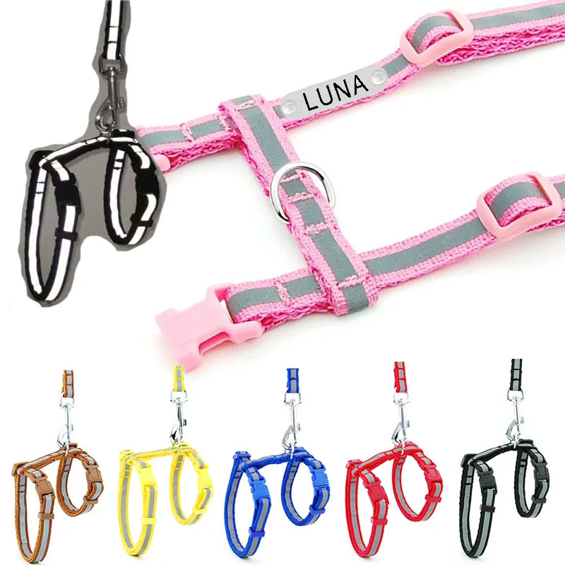 Harnais pour chien avec bande réfléchissante et nom « LUNA », accompagné de plusieurs options de couleurs sur fond blanc.

