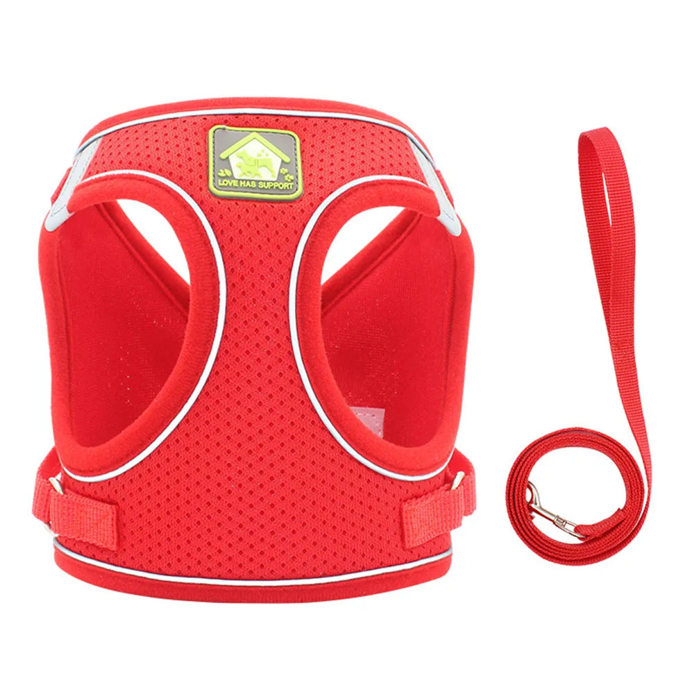 Harnais et laisse rouges pour chien sur fond blanc

