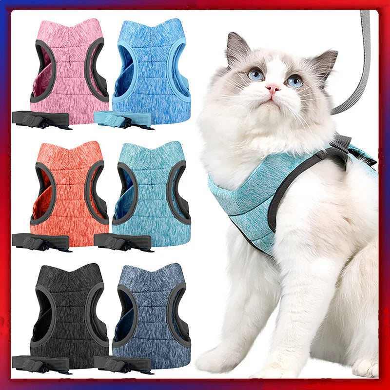 Chat portant un harnais bleu avec plusieurs options de couleurs affichées sur un fond blanc

